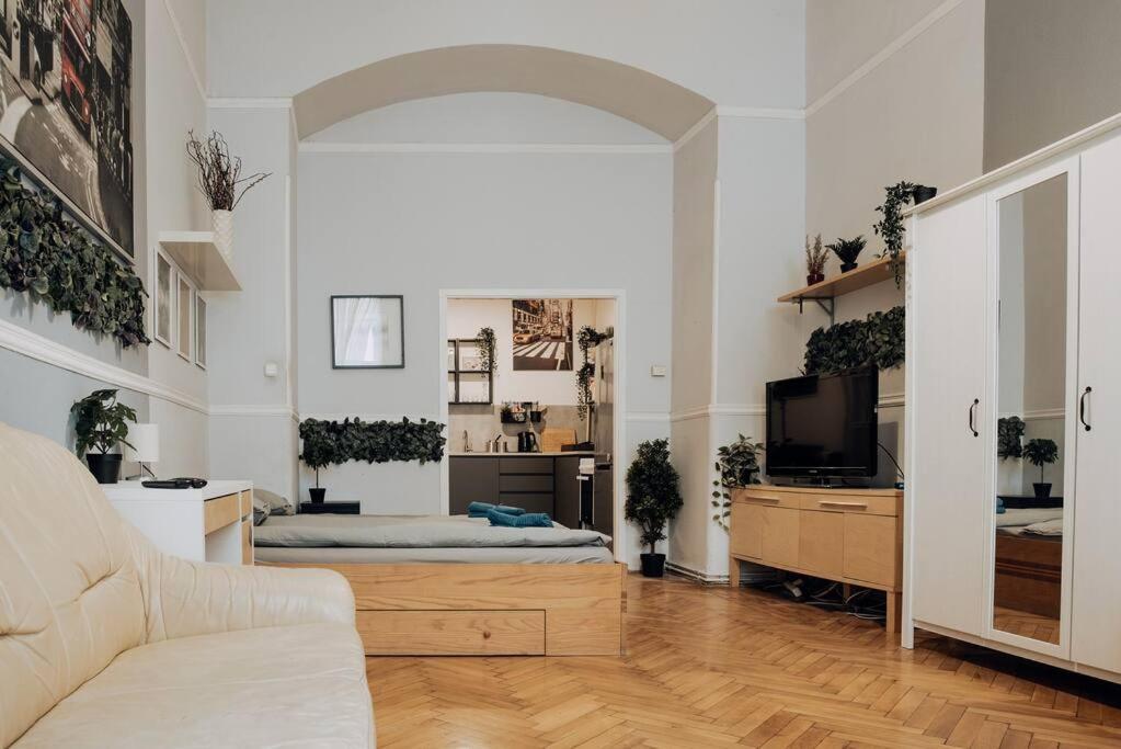 Big Apartment In The City Centre 布达佩斯 外观 照片