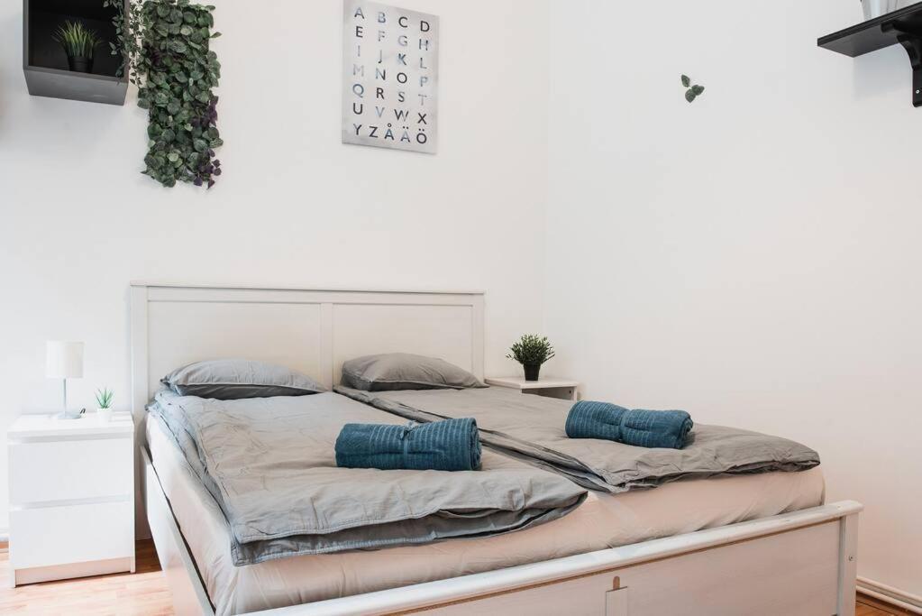 Big Apartment In The City Centre 布达佩斯 外观 照片