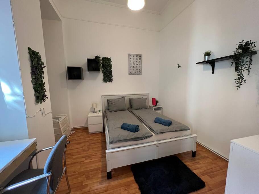 Big Apartment In The City Centre 布达佩斯 外观 照片
