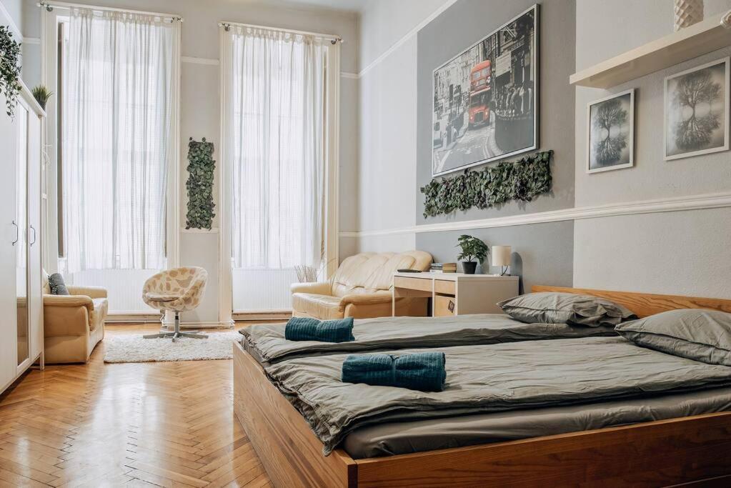 Big Apartment In The City Centre 布达佩斯 外观 照片