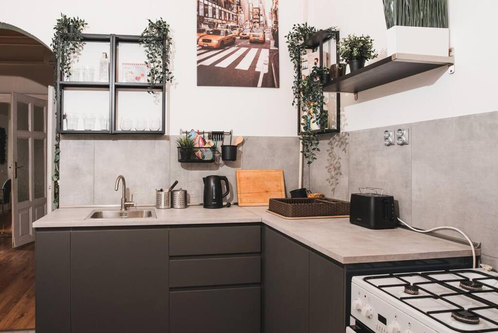 Big Apartment In The City Centre 布达佩斯 外观 照片